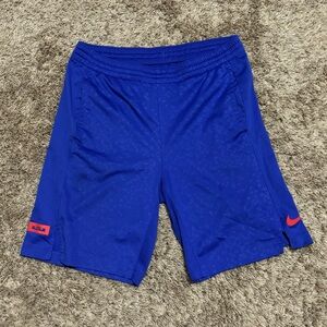 Nike LeBron blue & orange basketball shorts Size Large